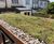 Bespoke cycle and bin store facility with sedum roofs 2