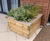 Sheldon Timber Planter - SPL305 11