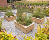 Cumberland Grange Care Home, Exeter - on this page