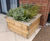 Cumberland Grange Care Home, Exeter 5