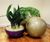 Luna Half - semi spherical ultra-lightweight indoor planters 3