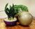 Luna Crescent - curved fibreglass decorative planter bowls 2