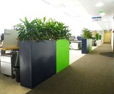 Geo Design - Barrier ultra-lightweight indoor trough planters - on this page