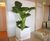 Cube Geo Design - fibreglass indoor square planter 0
