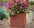 Cube Geo Design - fibreglass planter for modern landscapes 1