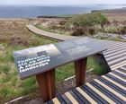 Artémis Corten: Modern Interpretation Signage Collection