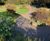 Resin bound surfacing for pathways at Royal Botanic Garden 2
