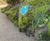 Resin bound surfacing for pathways at Royal Botanic Garden 4