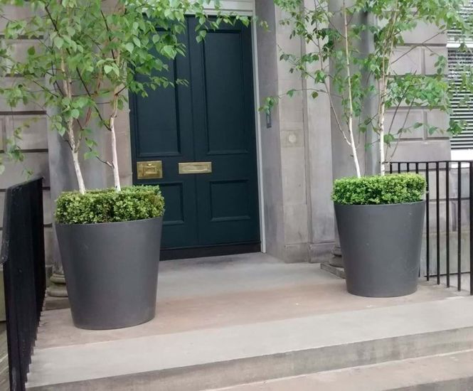 Geo Round - fibreglass plant pot for indoor and outdoor landscaping