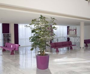 Cylinder Geo Design - fibreglass planters for trees and shrubs