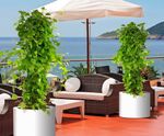 Geo Design Cylinder  - circular fibreglass tree planters
