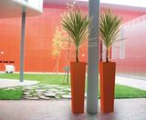 Flare & Maxi Flare - tapered square fibreglass planters - on this page