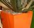 Flare & Maxi Flare - tapered square fibreglass planters 2