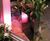 Triangle Geo Design Planter - triangular fibreglass column planters 1