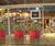 Geo Design - Diamond ultra-lightweight indoor planters 0