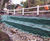Flex MSE vegetated wall system for carriageway embankment repair works 1