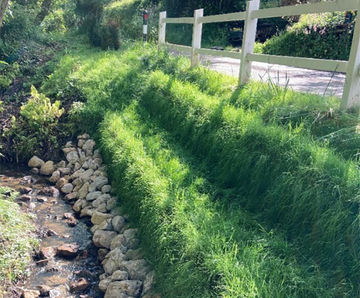 Flex MSE vegetated wall system for carriageway embankment repair works