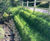 Flex MSE vegetated wall system for carriageway embankment repair works 0