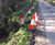 Flex MSE vegetated wall system for carriageway embankment repair works 2