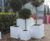 Chelsea Garden Classics - fibreglass panel planters 1