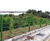 Dulok WaveTop - decorative double wire rigid mesh panel fencing 5
