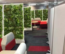 FreeWall - modular green wall room divider for offices and interiors