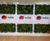 FreeWall - modular green wall room divider for offices and interiors 1