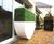 Artificial Buxus Hedges - realistic synthetic hedges for outdoor use 3