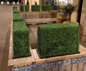 Artificial Buxus Hedges - realistic synthetic hedges for outdoor use
