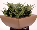 Geneva Bowls - waterproof fiberglass planter bowl