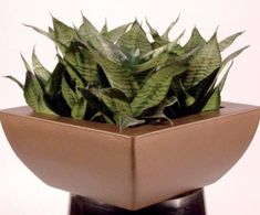 Geneva Bowls - waterproof fiberglass planter bowl