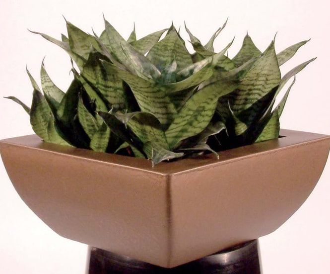 Geneva Bowls - waterproof fiberglass planter bowl
