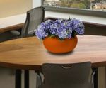 London Bowls - waterproof stone-effect planter bowls