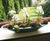 Copenhagen Bowls - waterproof fiberglass interior planter 0