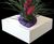 Dallas Bowls - fibreglass desktop planter bowl 6