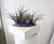 Dallas Bowls - fibreglass desktop planter bowl 7