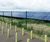 Eclipse-60™ profiled panel fencing system 1