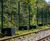 FenceSafe Eclipse - V mesh profile temporary fencing 1