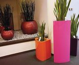 Avant-Garde Wave Planter - curved decorative planter - on this page