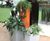 Avant-Garde Wave Planter - curved decorative planter 1