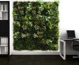 Feature Wall - replica green wall panel for interior or exterior design - on this page