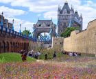 Fixings for Platinum Jubilee Superbloom install - Tower of London