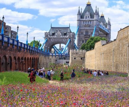 Fixings for Platinum Jubilee Superbloom install - Tower of London