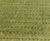 Summer overseeding with ForeFront Greens - Little Aston Golf Club 2