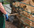 Lion enclosure fencing for Folly Farm Zoo, Wales 1