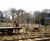 Secure fencing for new lion enclosure at ZSL London Zoo 2