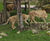 Secure fencing for new lion enclosure at ZSL London Zoo 3