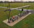 Apollo – steel cycle shelter with curved roof 6