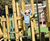 Balksbury – low–level multi–play unit 1