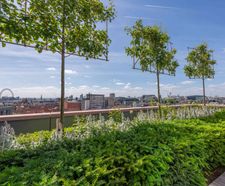 Design and installation of podium landscape irrigation at Ilona Rose House